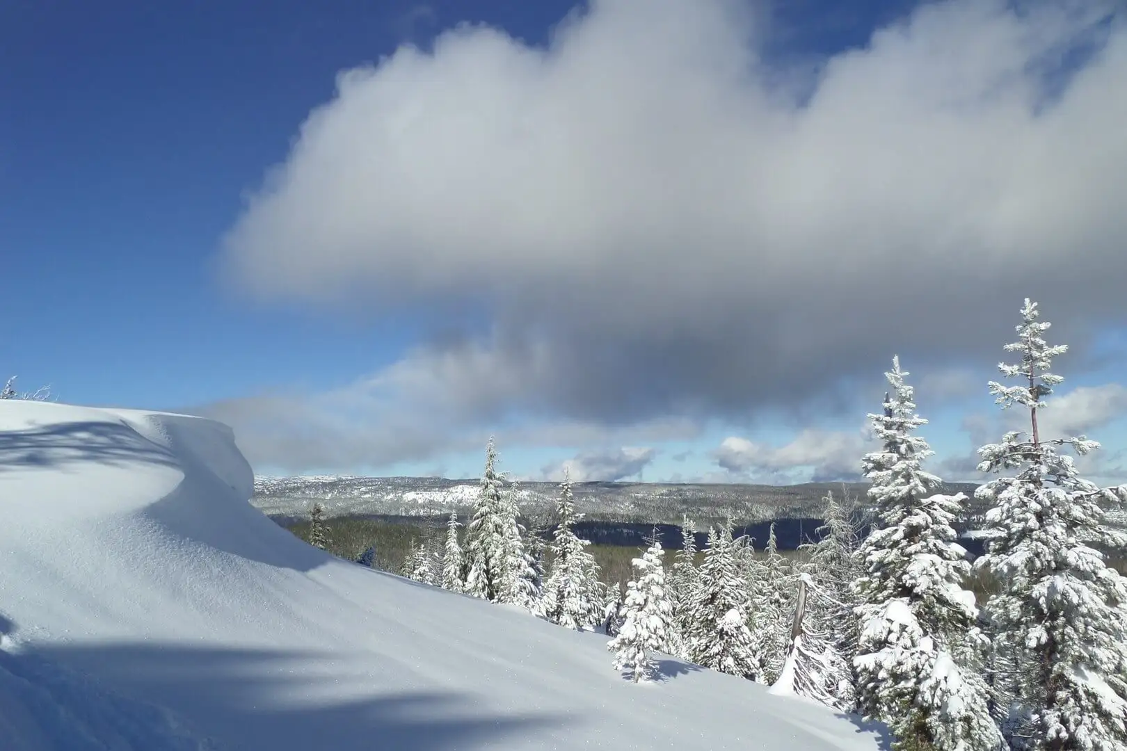 Vista Butte Nordic Backcountry Touring